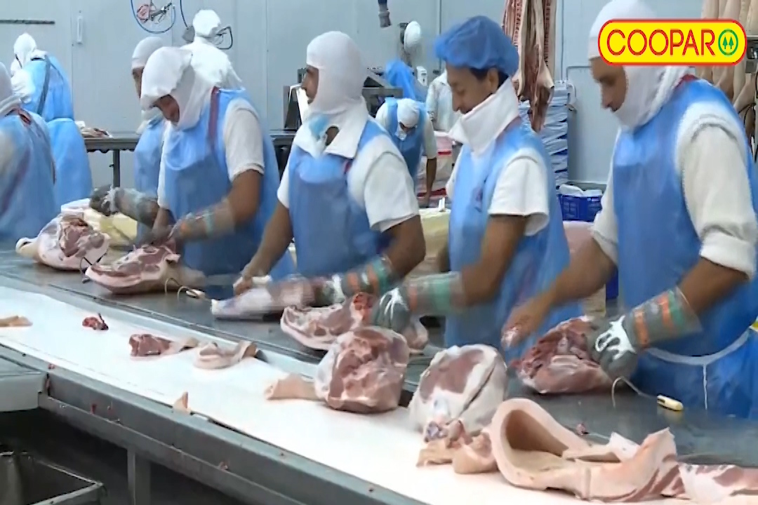 Hay más producción nacional de carne de cerdo, con mejores ventas; pero las importaciones complican la escena