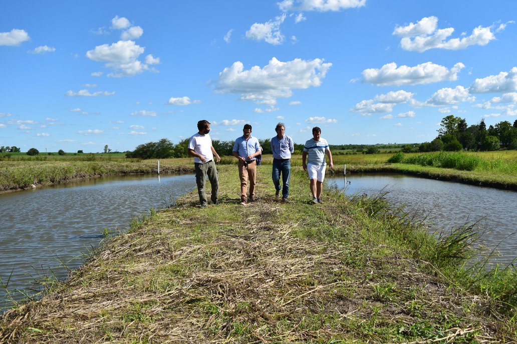 En la provincia, crías peces en un media docena de establecimientos rurales.