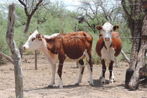 Sin pronósticos alentadores, el calor intenso seguirá vigente en Entre Ríos