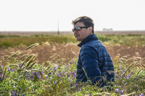 Vuelve a escena un grano milenario que funciona bien en la provincia