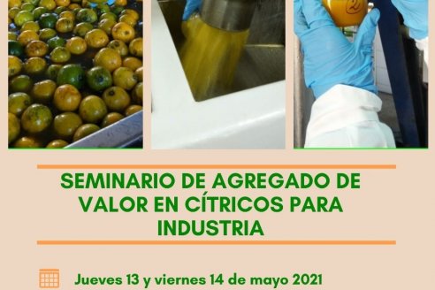 SEMINARIO DE AGREGADO DE VALOR EN CÍTRICOS PARA INDUSTRIA