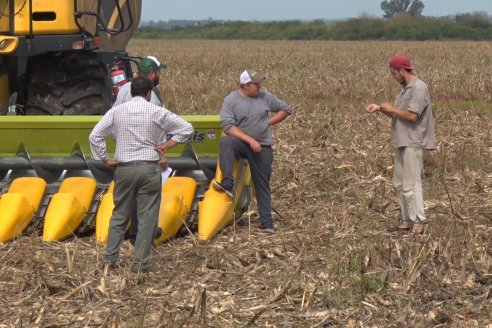 Establecimiento El CAA-GÚÍ - Strip Test Agronómico Agrofe Campo - KWS Semillas - Rizobacter