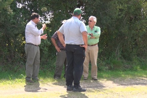 Establecimiento El CAA-GÚÍ - Strip Test Agronómico Agrofe Campo - KWS Semillas - Rizobacter