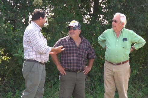 Establecimiento El CAA-GÚÍ - Strip Test Agronómico Agrofe Campo - KWS Semillas - Rizobacter