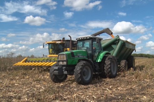 Establecimiento El CAA-GÚÍ - Strip Test Agronómico Agrofe Campo - KWS Semillas - Rizobacter