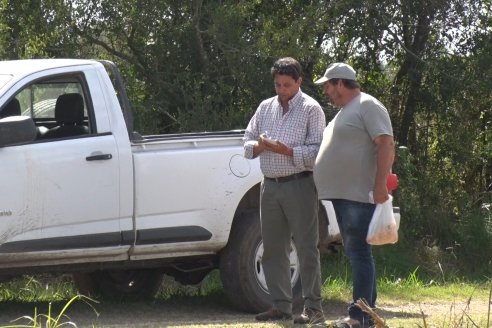 Establecimiento El CAA-GÚÍ - Strip Test Agronómico Agrofe Campo - KWS Semillas - Rizobacter