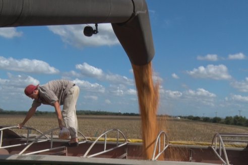 Establecimiento El CAA-GÚÍ - Strip Test Agronómico Agrofe Campo - KWS Semillas - Rizobacter