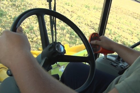 Establecimiento El CAA-GÚÍ - Strip Test Agronómico Agrofe Campo - KWS Semillas - Rizobacter