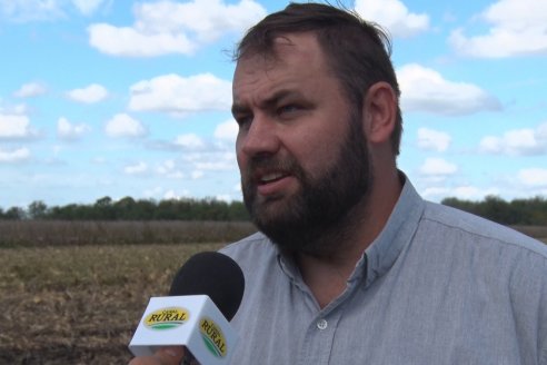 Establecimiento El CAA-GÚÍ - Strip Test Agronómico Agrofe Campo - KWS Semillas - Rizobacter