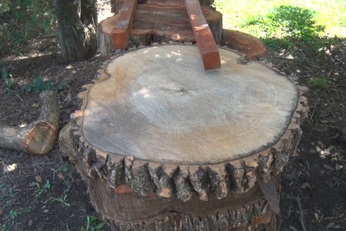 Gustavo Erbes, el trabajador rural de El Ramblón con muy buena fama de artesano de la madera