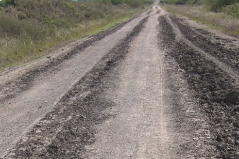 Visita a Establecimiento La Providencia  - Con casi 10 toneladas por hectárea los hermanos Giorgio regresaron a las arroceras