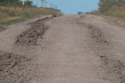 Visita a Establecimiento La Providencia  - Con casi 10 toneladas por hectárea los hermanos Giorgio regresaron a las arroceras