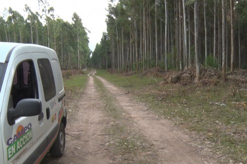 Alejandro Giudici - Productor Forestal -  Visita a Campo de los Nietos