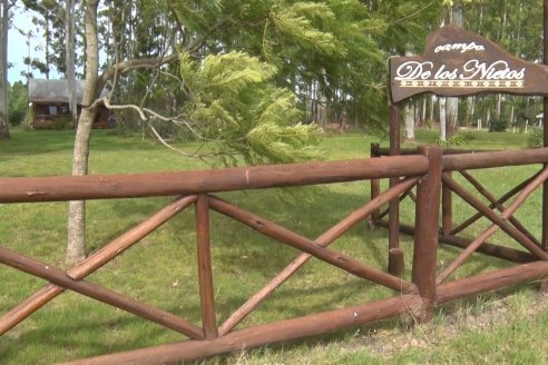 Alejandro Giudici - Productor Forestal -  Visita a Campo de los Nietos