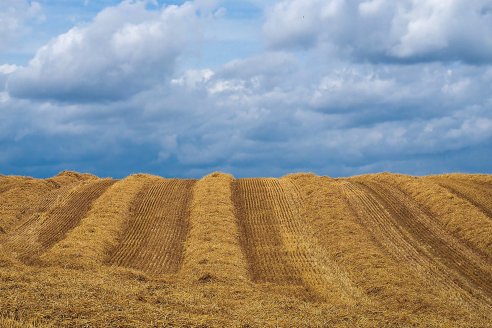 En Entre Ríos, la conservación del suelo se adelantó más de medio siglo al debate público nacional