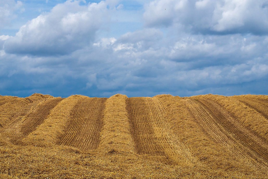 Las pendientes dominan la escena productiva entrerriana.