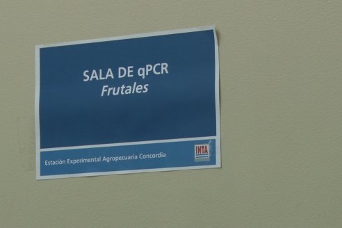 Rodrigo Machado - Biotecnólogo INTA Concordia - Biotecnología para el control precoz del HLB