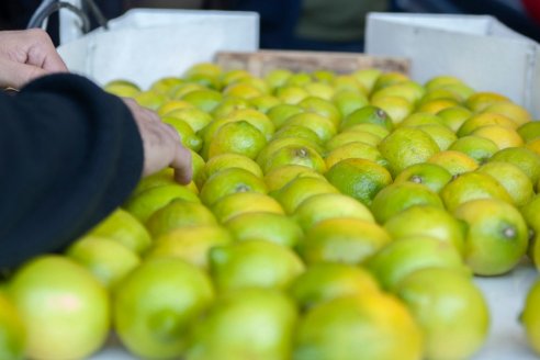 Por cada 3,4 pesos que se gastan en agroalimentos, sólo uno va al campo