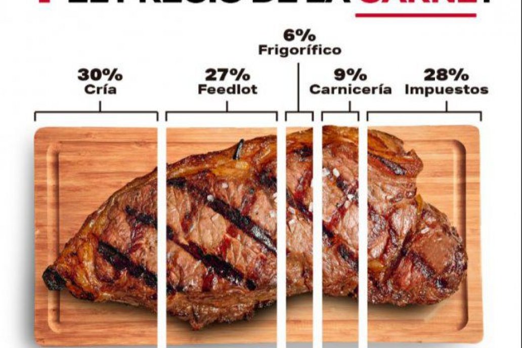 Expertos difunden composición y comportamiento del principal alimento argentino.