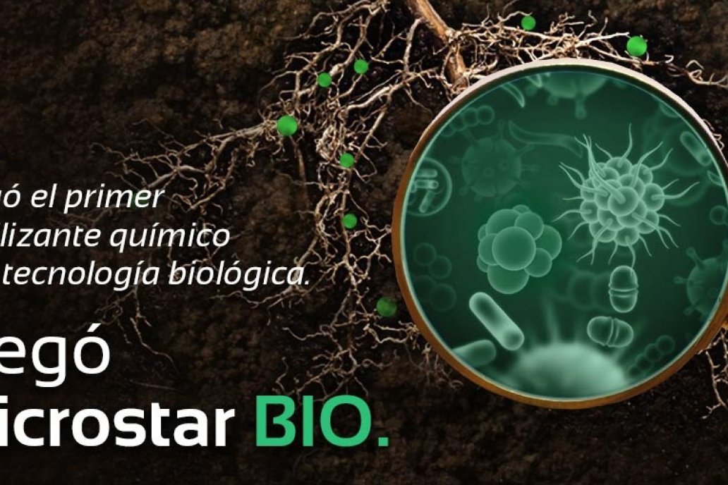 Un encuentro de los fertilizantes químicos con la microbiología da origen Un encuentro de los fertilizantes químicos con la microbiología da origen