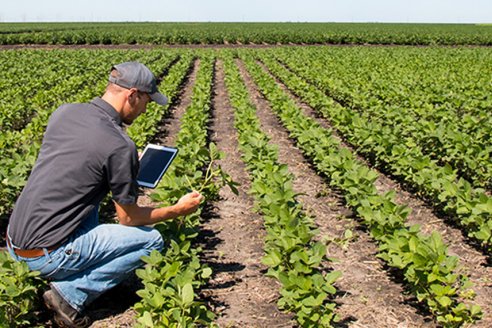 Inteligencia artificial: cada día cobra más fuerza en el campo