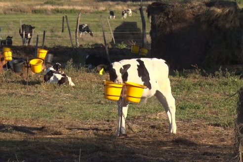 Visita Tambo Educativo de la Escuela Normal Rural Juan Bautista Alberdi - Oro Verde - Entre Ríos