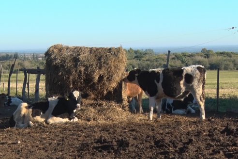 Visita Tambo Educativo de la Escuela Normal Rural Juan Bautista Alberdi - Oro Verde - Entre Ríos