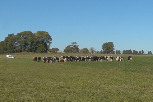 Visita Tambo Educativo de la Escuela Normal Rural Juan Bautista Alberdi - Oro Verde - Entre Ríos