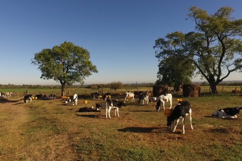 Visita Tambo Educativo de la Escuela Normal Rural Juan Bautista Alberdi - Oro Verde - Entre Ríos