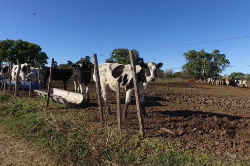 Visita Tambo Educativo de la Escuela Normal Rural Juan Bautista Alberdi - Oro Verde - Entre Ríos