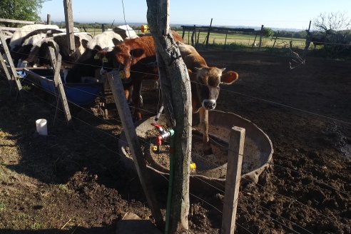 Visita Tambo Educativo de la Escuela Normal Rural Juan Bautista Alberdi - Oro Verde - Entre Ríos