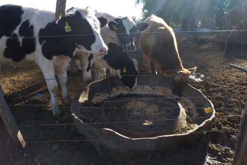 Visita Tambo Educativo de la Escuela Normal Rural Juan Bautista Alberdi - Oro Verde - Entre Ríos