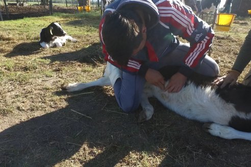 Visita Tambo Educativo de la Escuela Normal Rural Juan Bautista Alberdi - Oro Verde - Entre Ríos