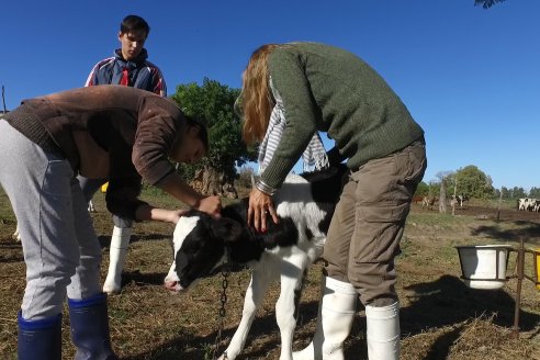 Visita Tambo Educativo de la Escuela Normal Rural Juan Bautista Alberdi - Oro Verde - Entre Ríos