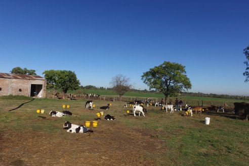 Visita Tambo Educativo de la Escuela Normal Rural Juan Bautista Alberdi - Oro Verde - Entre Ríos