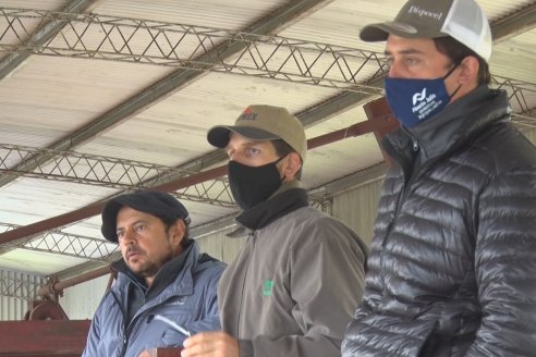 Capacitación de los profesionales de Veterinaria Hernandez - Calidad seminal: en busca del toro atleta de alta perfomance