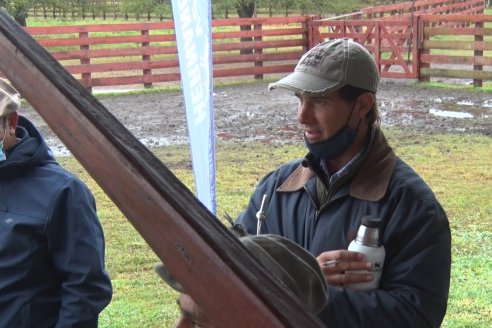 Capacitación de los profesionales de Veterinaria Hernandez - Calidad seminal: en busca del toro atleta de alta perfomance