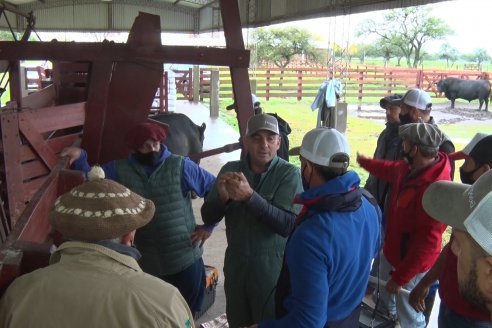 Capacitación de los profesionales de Veterinaria Hernandez - Calidad seminal: en busca del toro atleta de alta perfomance