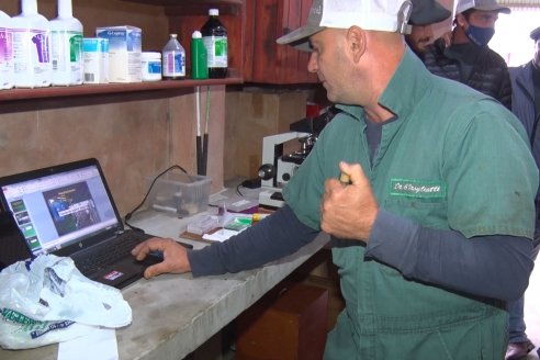 Capacitación de los profesionales de Veterinaria Hernandez - Calidad seminal: en busca del toro atleta de alta perfomance