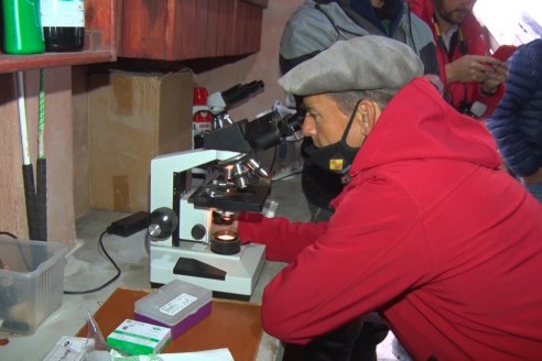 Capacitación de los profesionales de Veterinaria Hernandez - Calidad seminal: en busca del toro atleta de alta perfomance