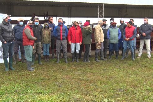 Capacitación de los profesionales de Veterinaria Hernandez - Calidad seminal: en busca del toro atleta de alta perfomance