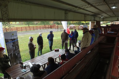 Capacitación de los profesionales de Veterinaria Hernandez - Calidad seminal: en busca del toro atleta de alta perfomance