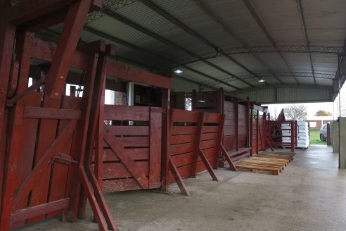 Capacitación de los profesionales de Veterinaria Hernandez - Calidad seminal: en busca del toro atleta de alta perfomance