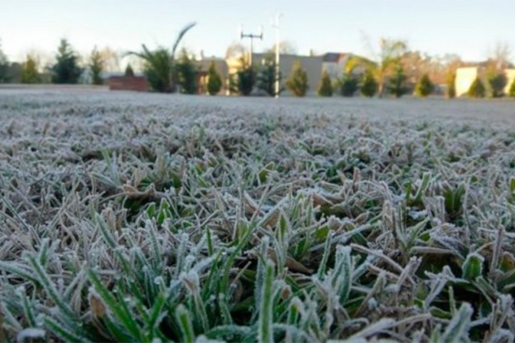 Las heladas ya son cosa de todos los días en los campos entrerrianos.