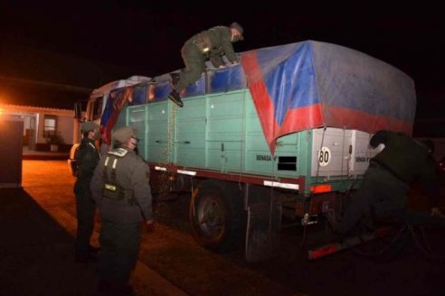  Gendarmería decomisó 451 toneladas de soja y 28 de maíz que viajaban de contrabando