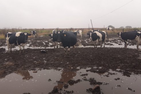 Este martes regresan las lluvias y esperan agua hasta el jueves