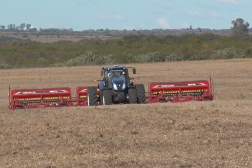 Ariel Svemer - Servi Parts Agromaquinas - Demostración de la sembradora Súper Walter en campos de Celina