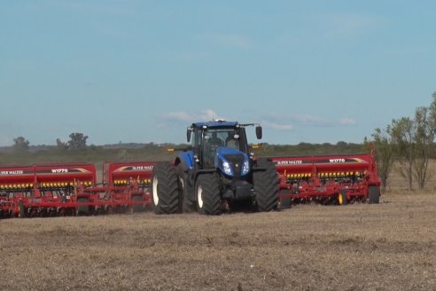 Ariel Svemer - Servi Parts Agromaquinas - Demostración de la sembradora Súper Walter en campos de Celina