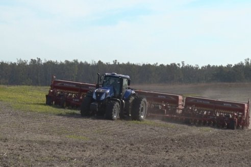 Ariel Svemer - Servi Parts Agromaquinas - Demostración de la sembradora Súper Walter en campos de Celina