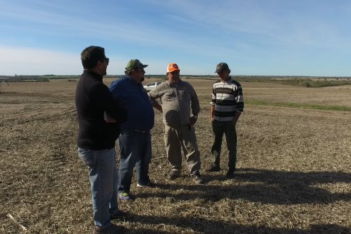 Ariel Svemer - Servi Parts Agromaquinas - Demostración de la sembradora Súper Walter en campos de Celina